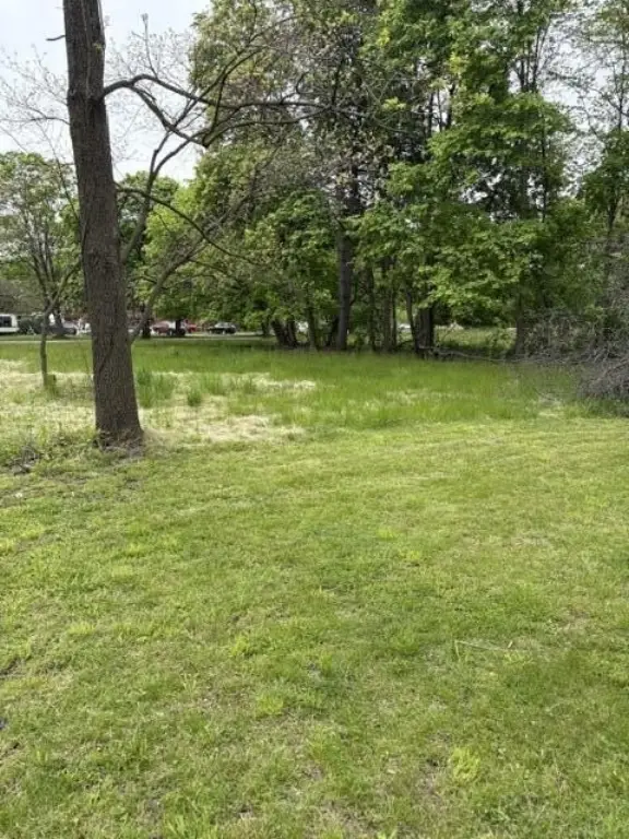 Picture 3