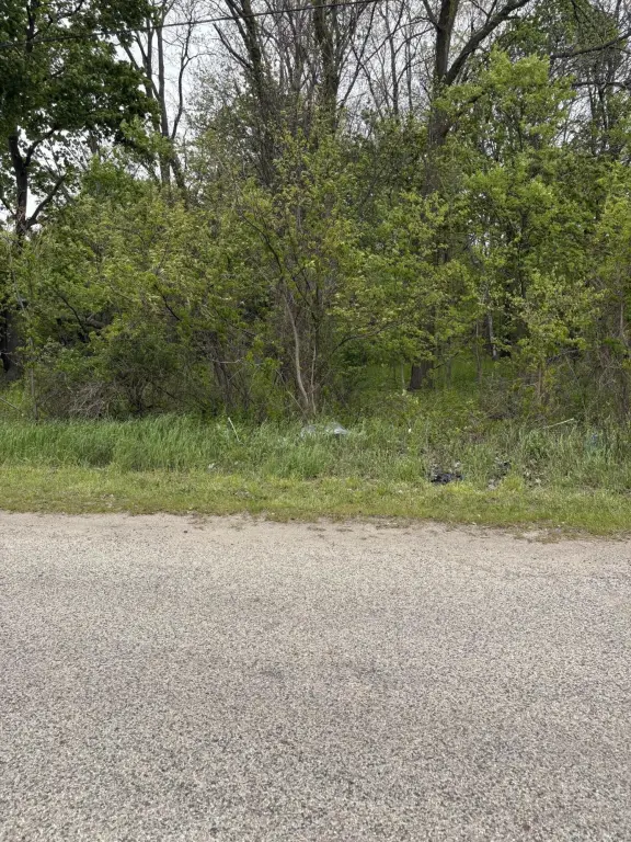 Picture 5