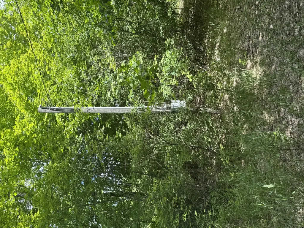 Picture 13