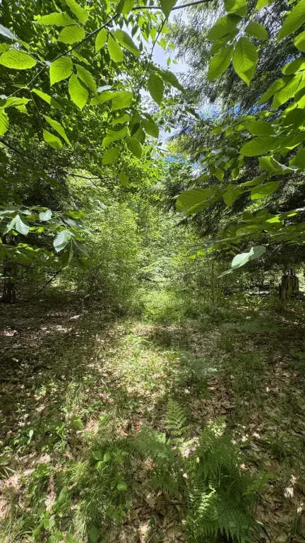 Picture 7