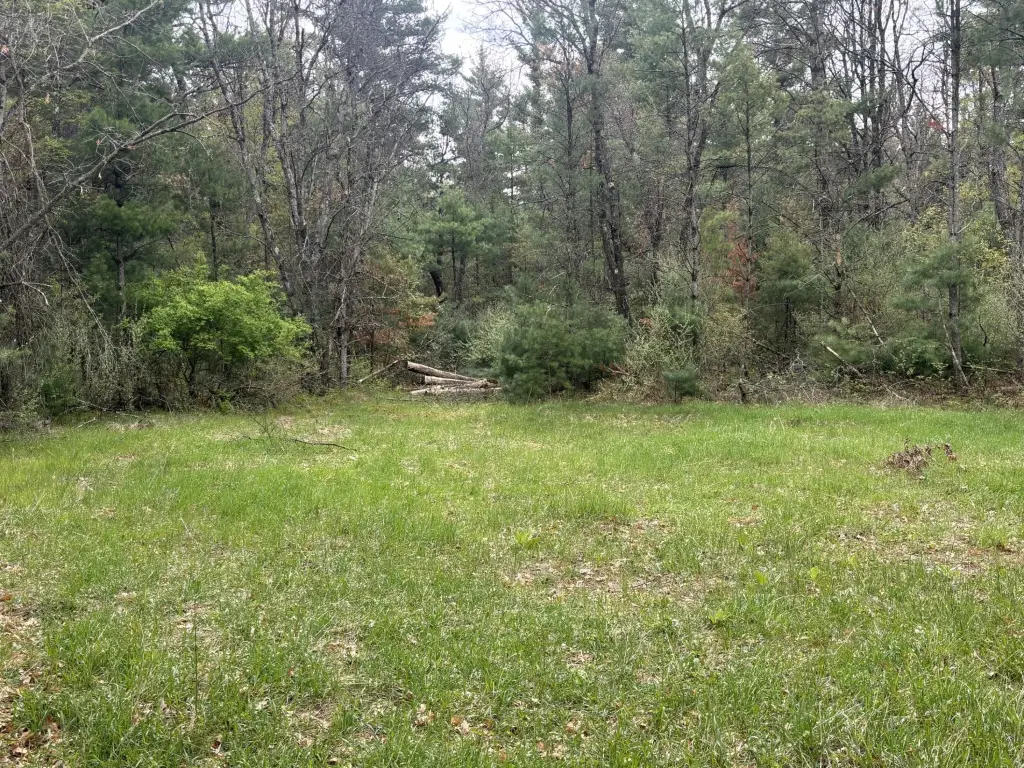 Picture 7