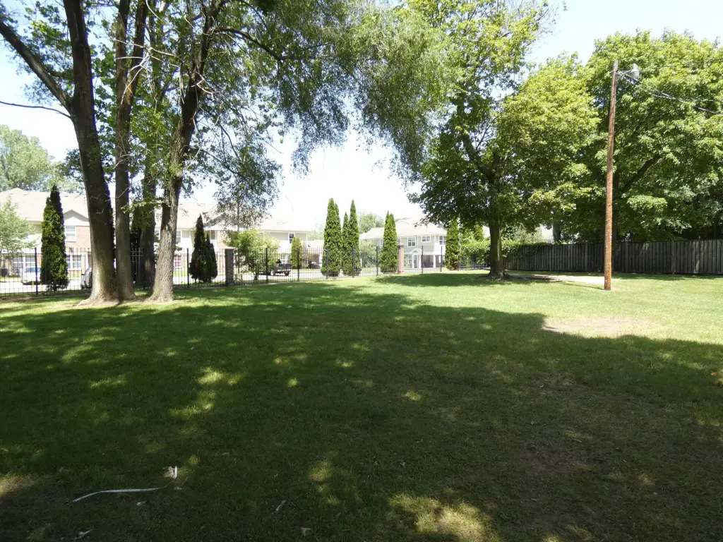 Picture 9