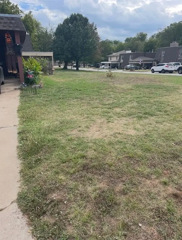 Picture 6