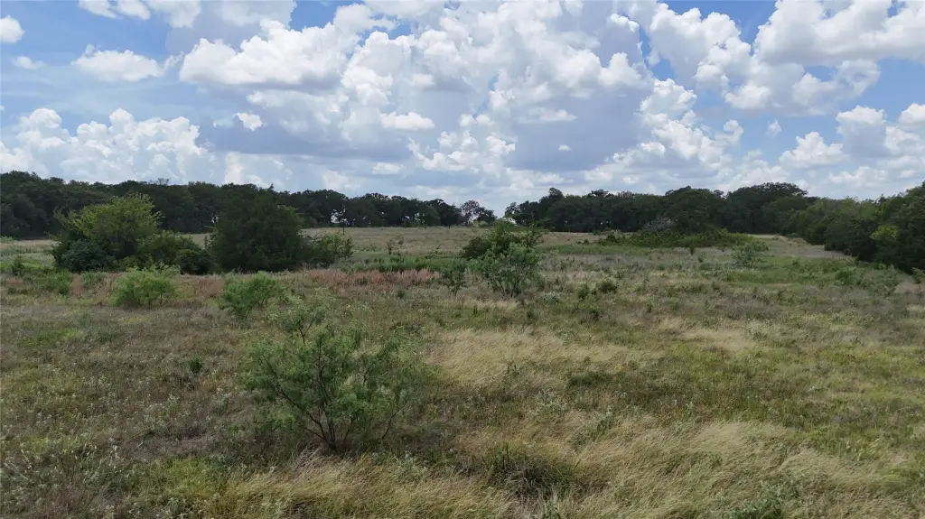 Picture 25