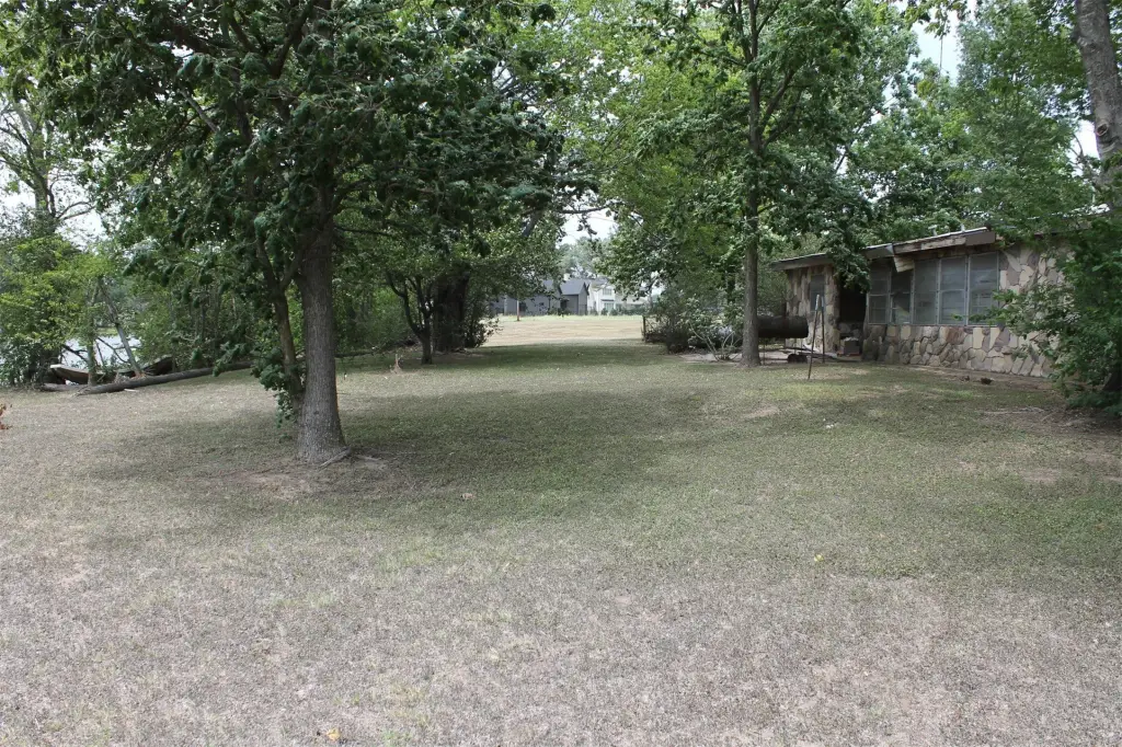 Picture 7