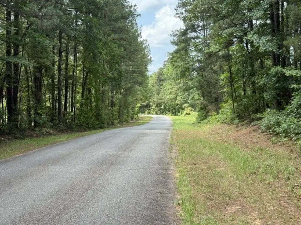 Picture 16