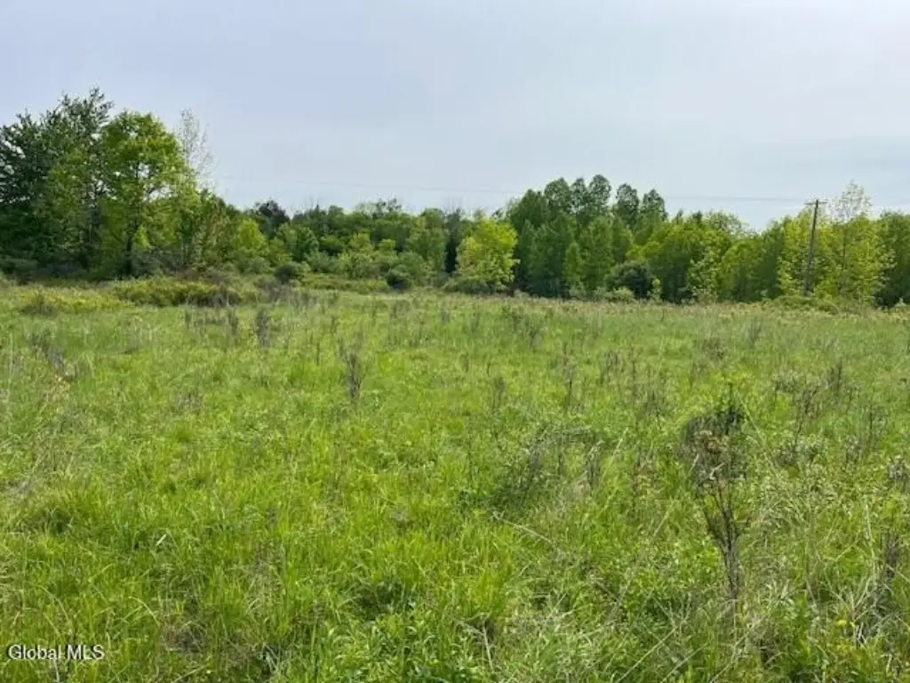 Picture 15