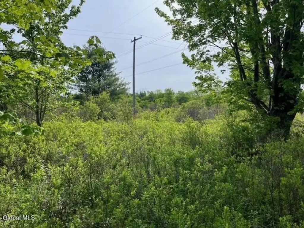 Picture 23