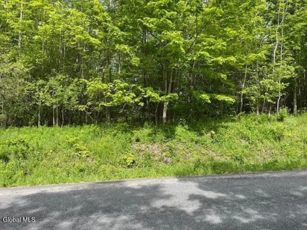 Picture 3