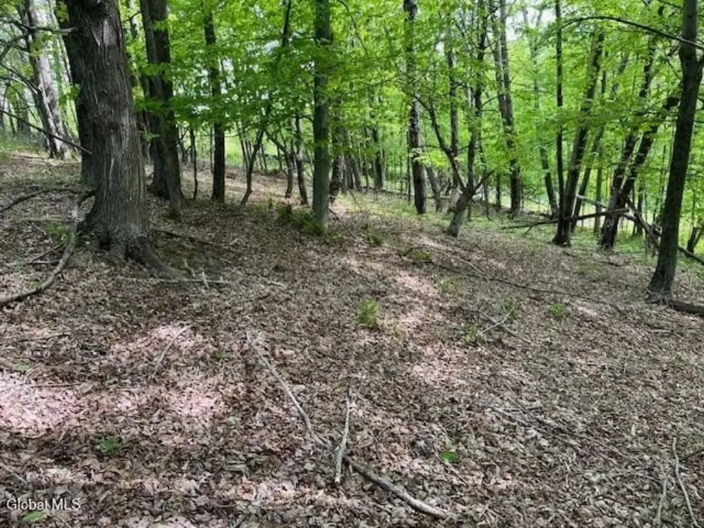 Picture 10