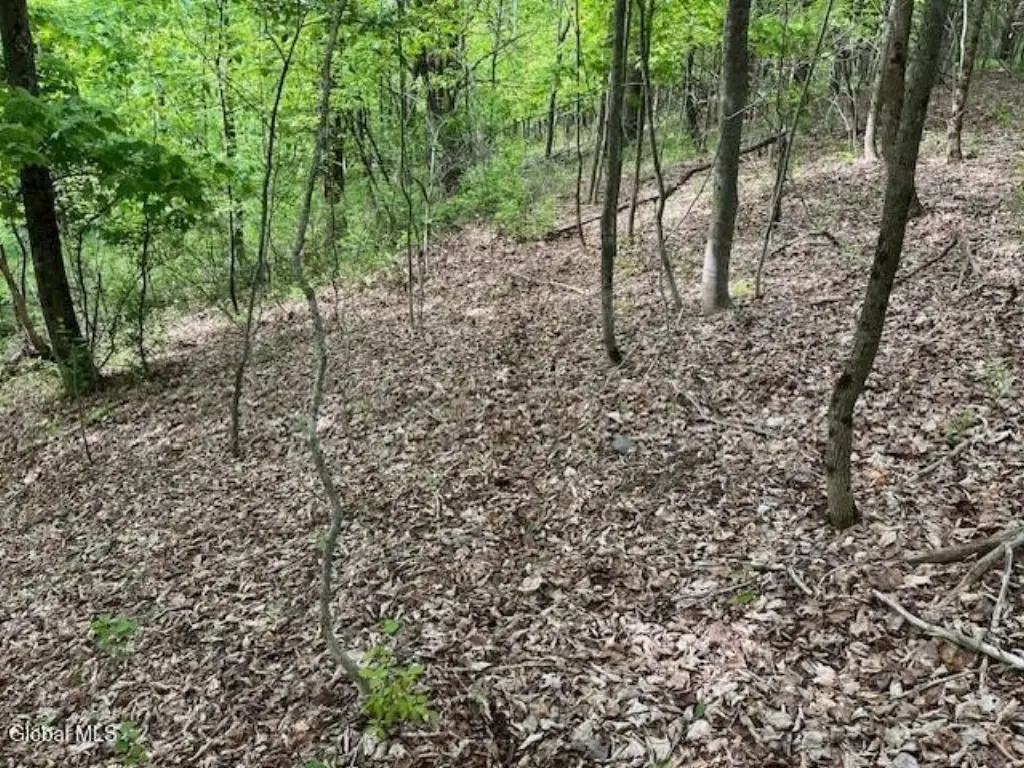 Picture 9