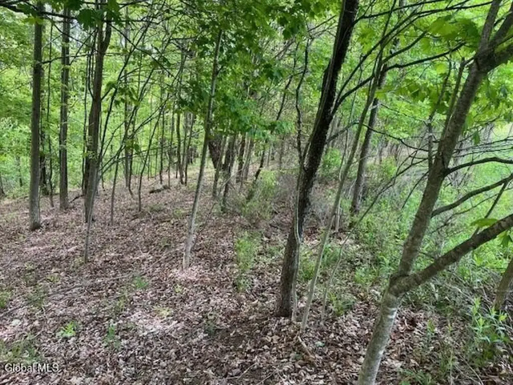 Picture 12