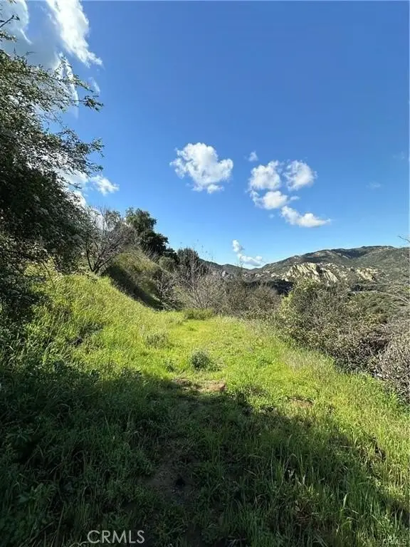 Picture 26