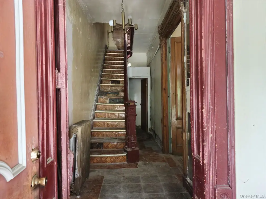 Picture 5