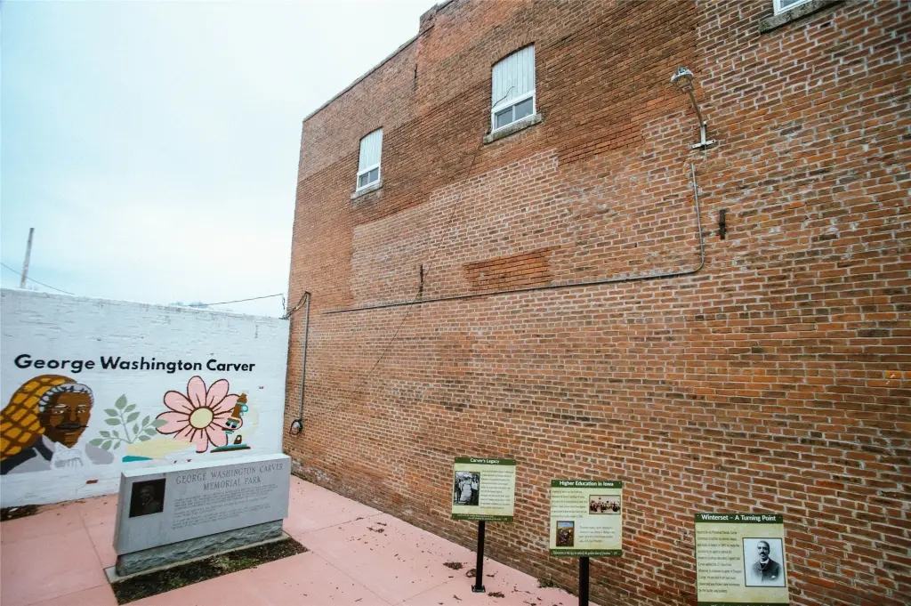 Picture 16