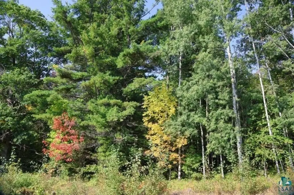 Picture 21