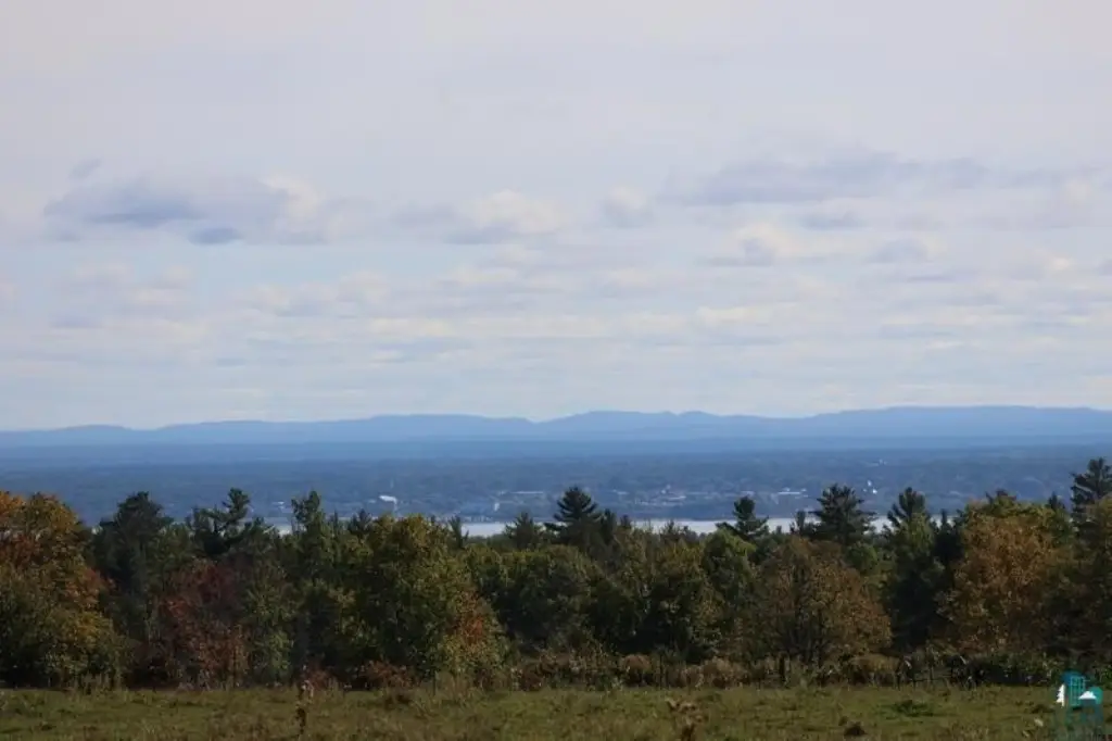 Picture 6