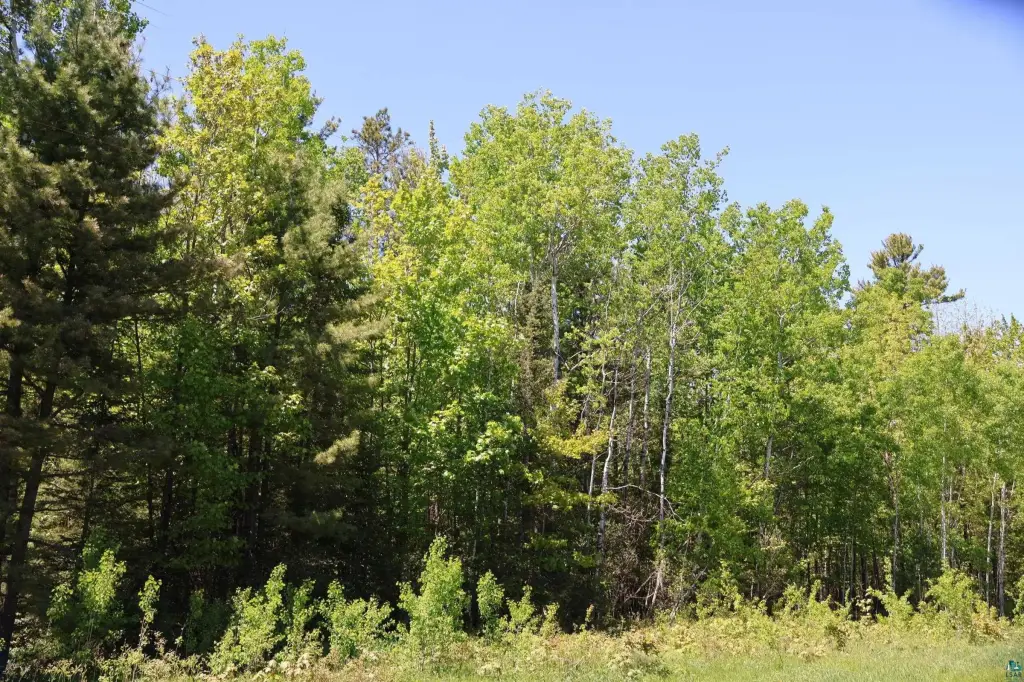 Picture 47