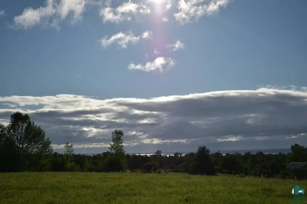 Picture 23