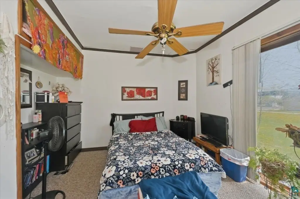 Picture 15