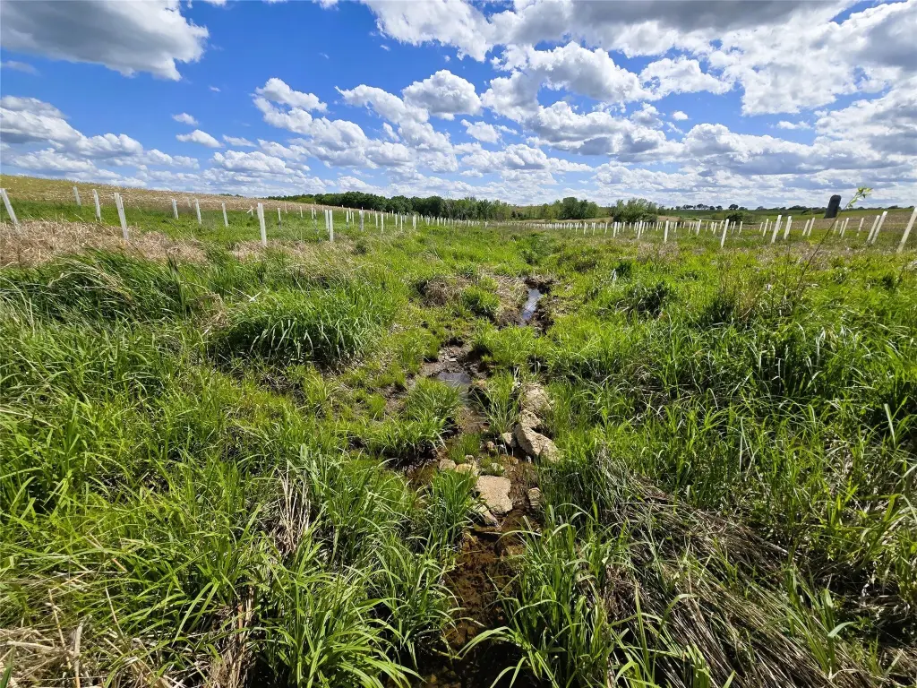 Picture 21