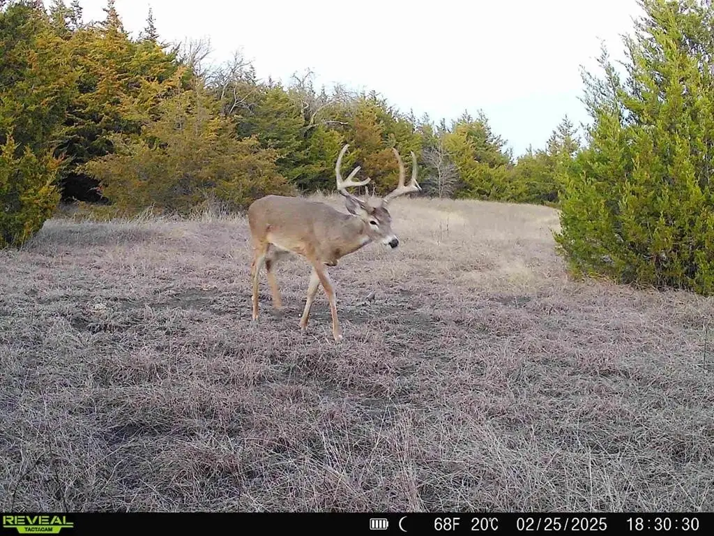 Picture 5