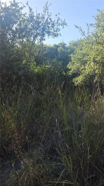Picture 5