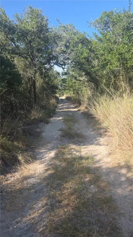 Picture 4