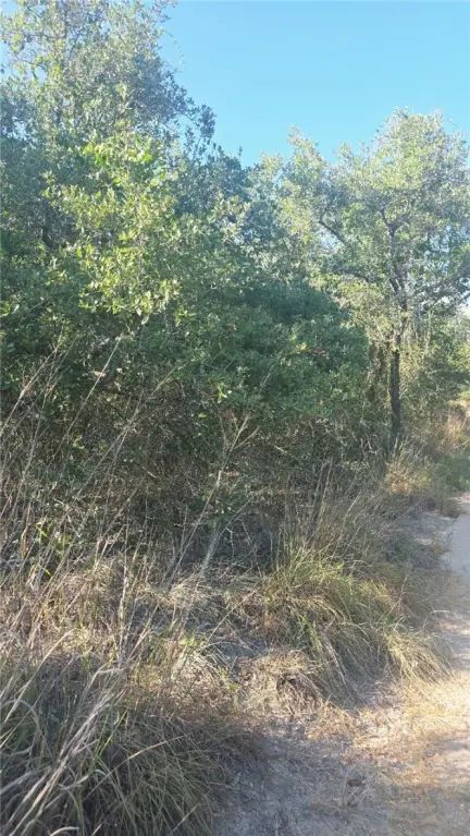 Picture 3