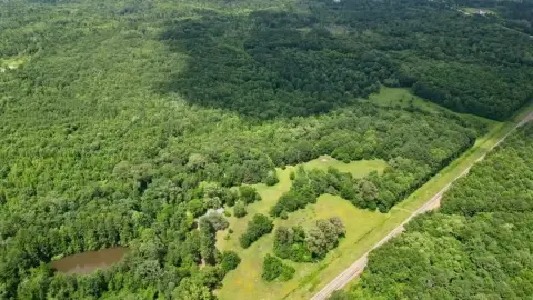 202.83 Acres of Unimproved Land