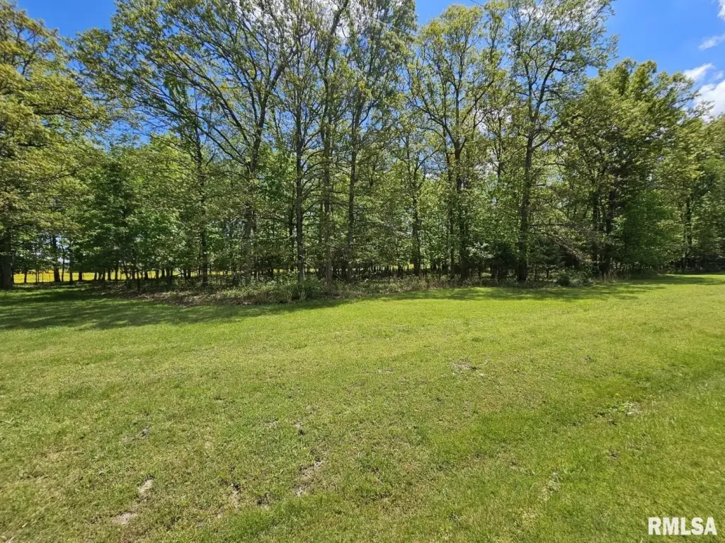 Picture 9