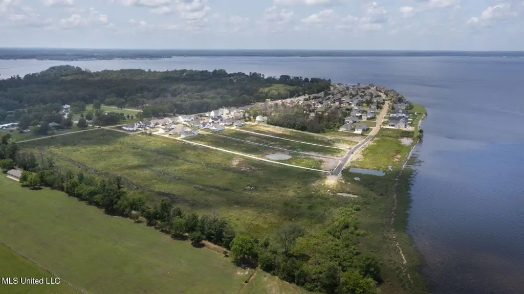 Picture 11