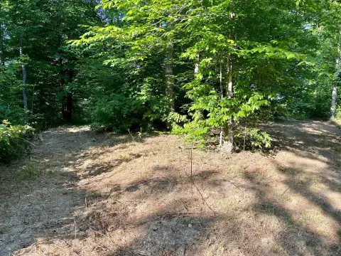 Beattyville, KY Woodland For Sale