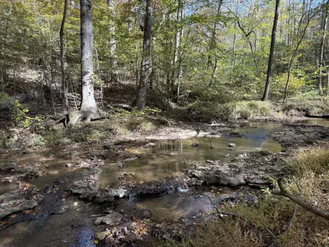Land Bordering Peaceful Creek
