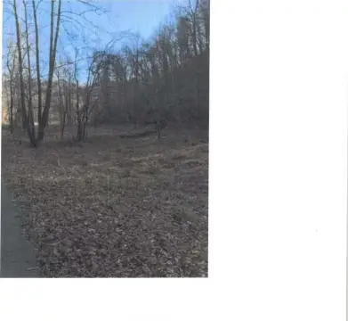 Unrestricted Land in Manchester, KY