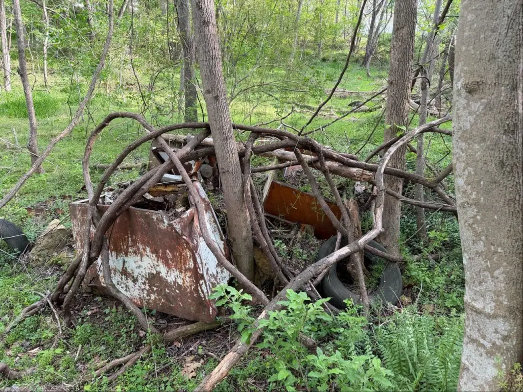 Picture 18