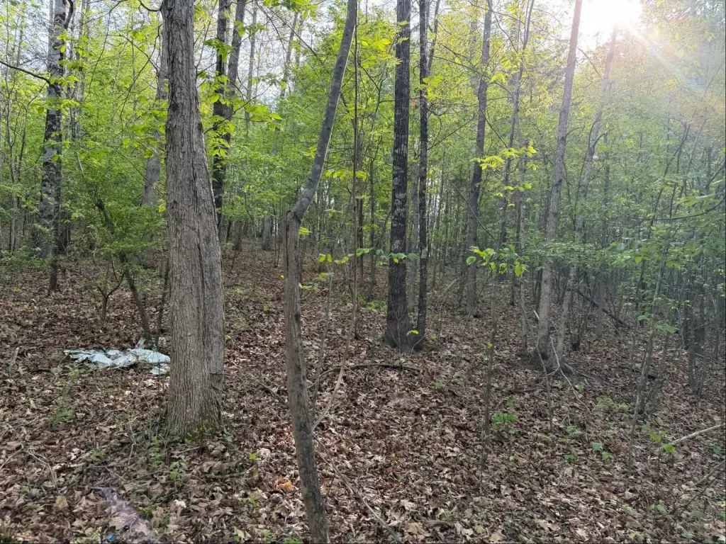 Picture 4