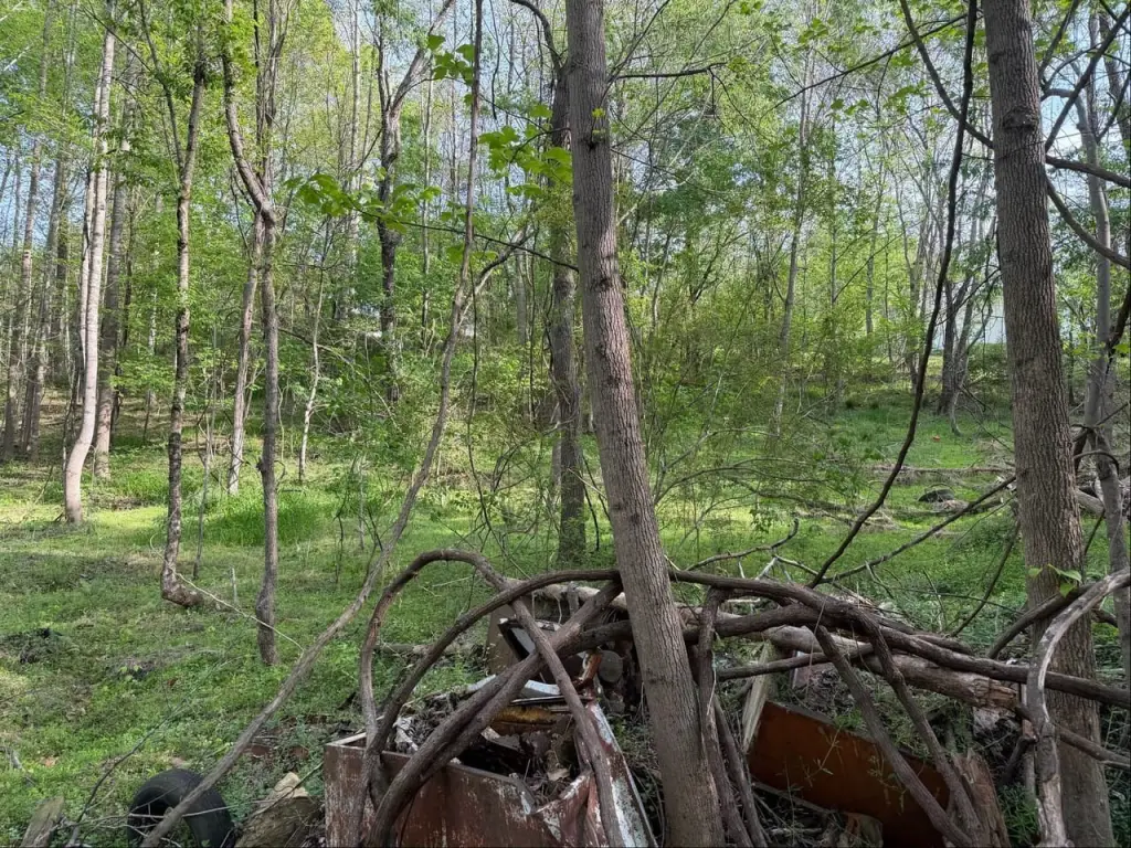 Picture 15