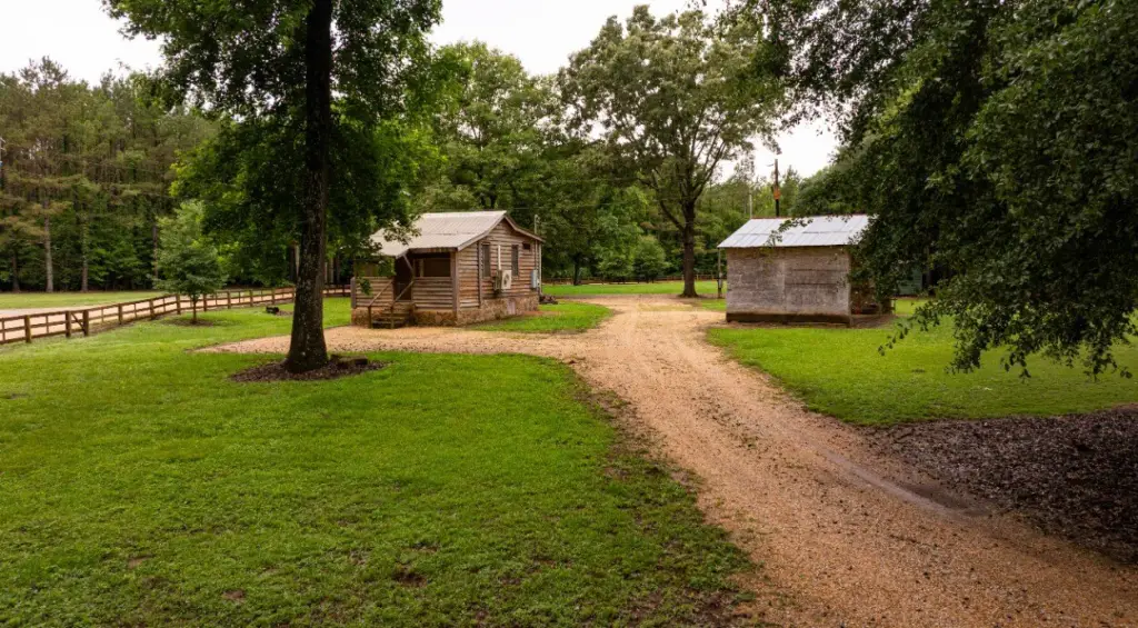 Picture 25