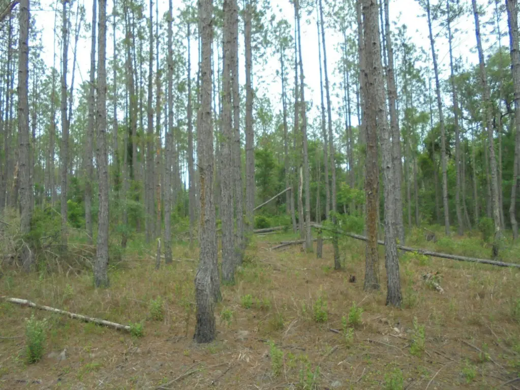 Picture 9