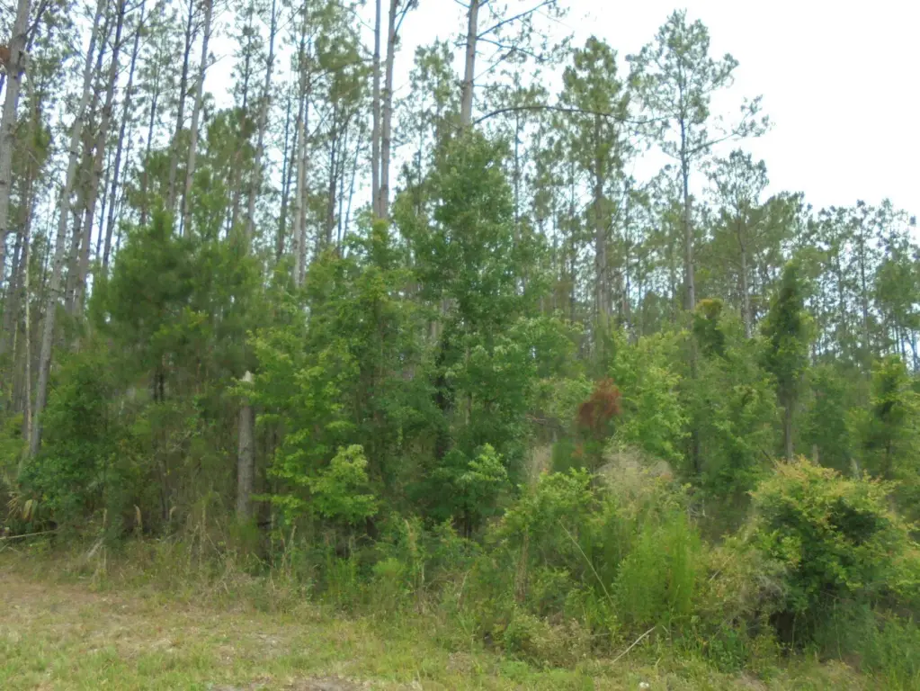 Picture 11