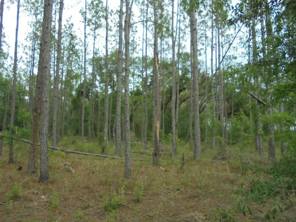 Picture 10