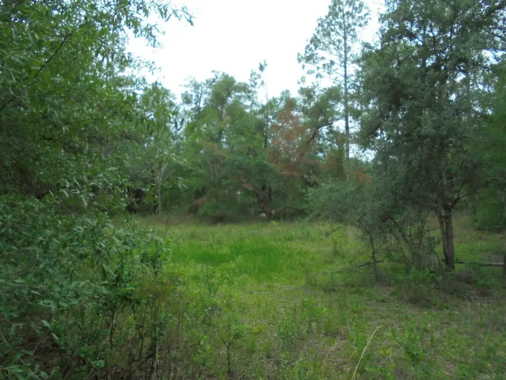 Picture 5