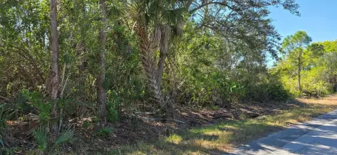 Punta Gorda Vacant Land