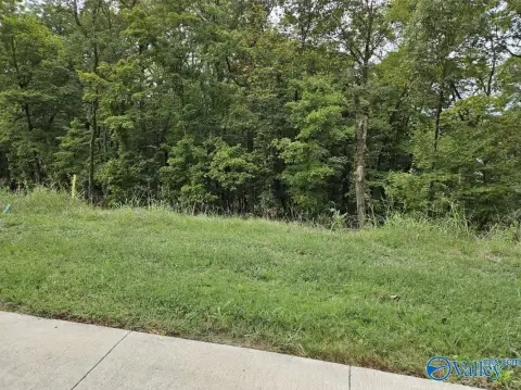 Huntsville Wooded Lot For Sale