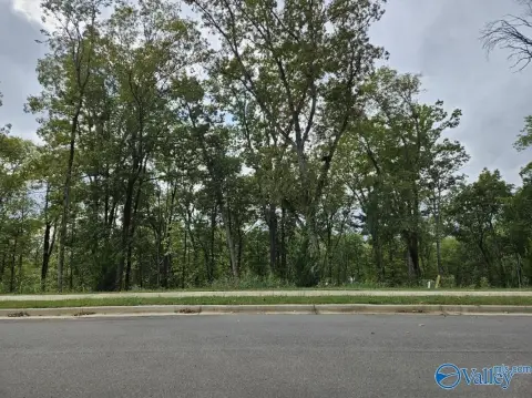 Huntsville Wooded Lot Near Medical