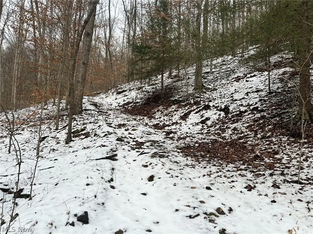 Picture 13