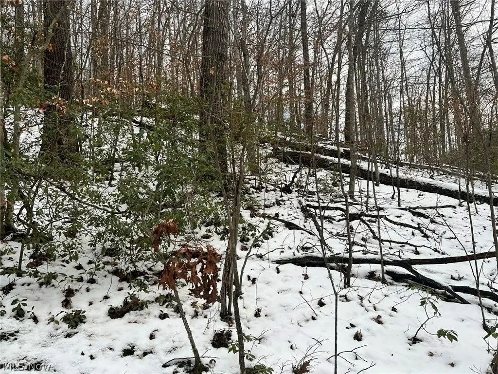 Picture 10