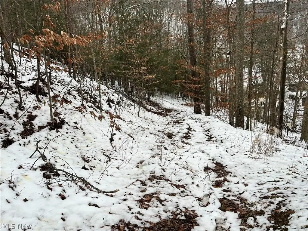 Picture 3