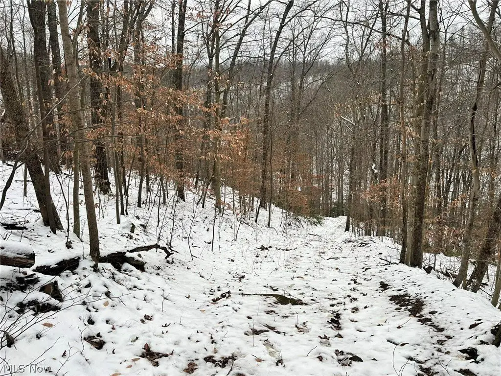Picture 5